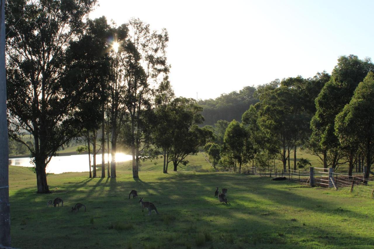 Hill Country Guest house Lovedale