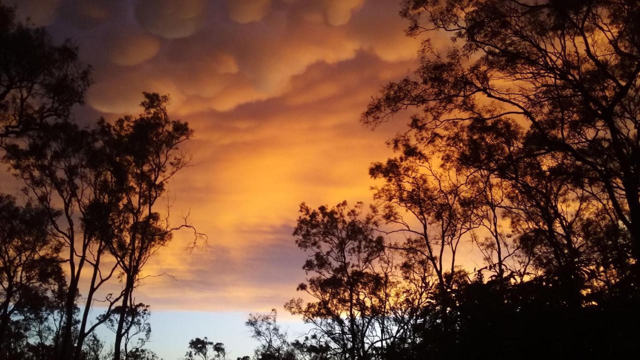 Hill Country Lovedale