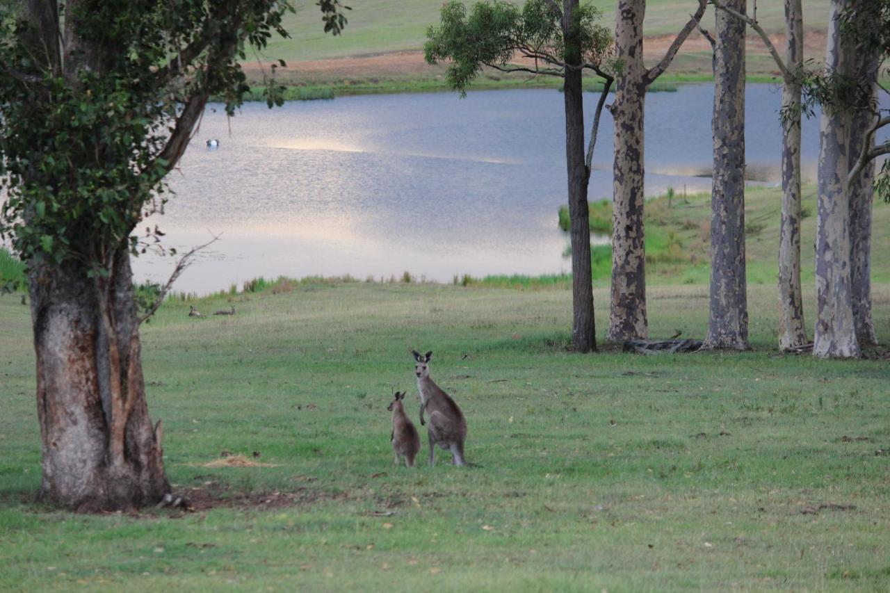 Guest house Hill Country *